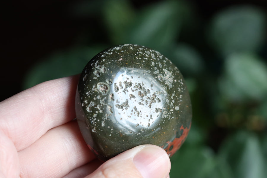 Old stock ocean jasper pocket stone OS4