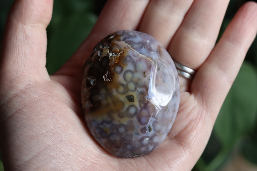 Old stock ocean jasper pocket stone OS5