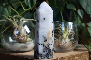 Black tourmaline in quartz tower 2 new