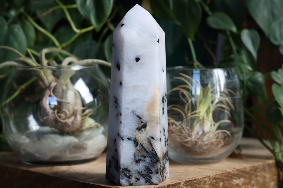 Black tourmaline in quartz tower 2 new