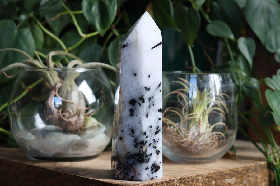Black tourmaline in quartz tower 2 new