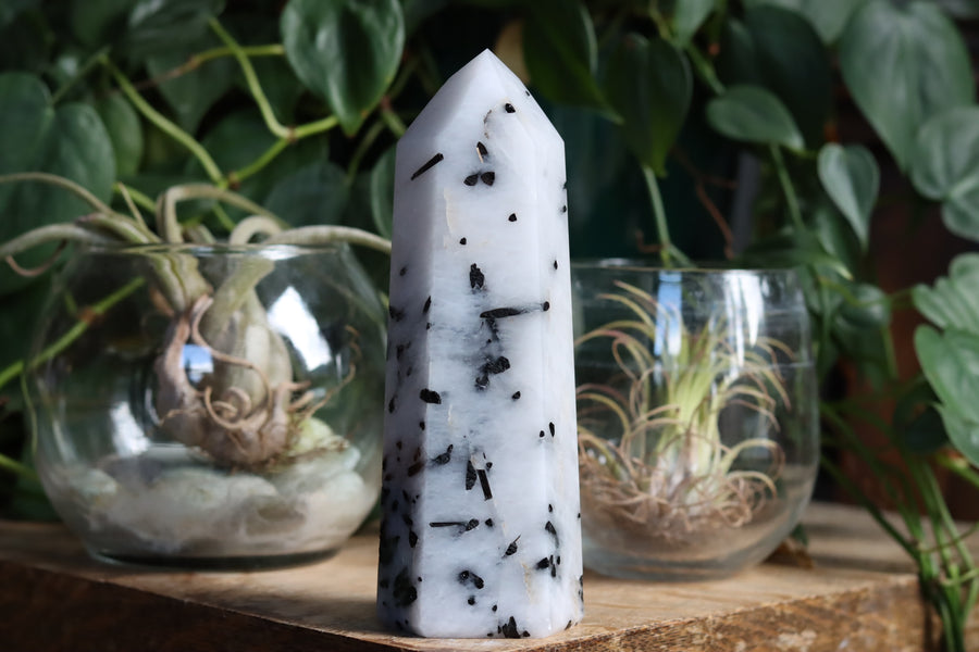 Black tourmaline in quartz tower 2 new