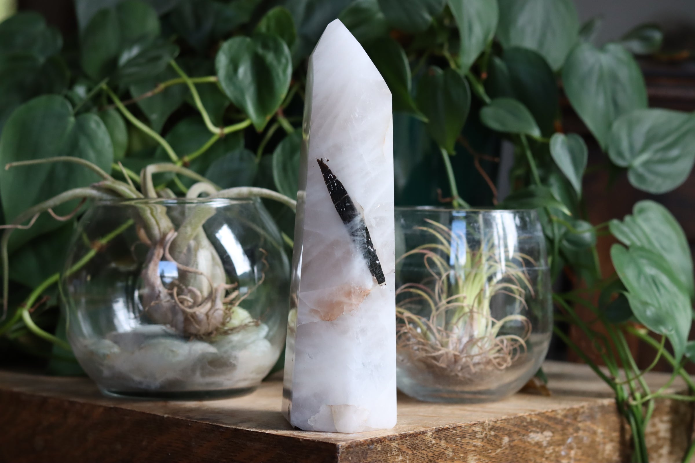 Black tourmaline in quartz tower 3