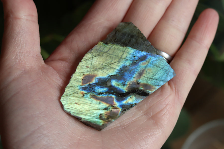 Semi polished labradorite slab 6