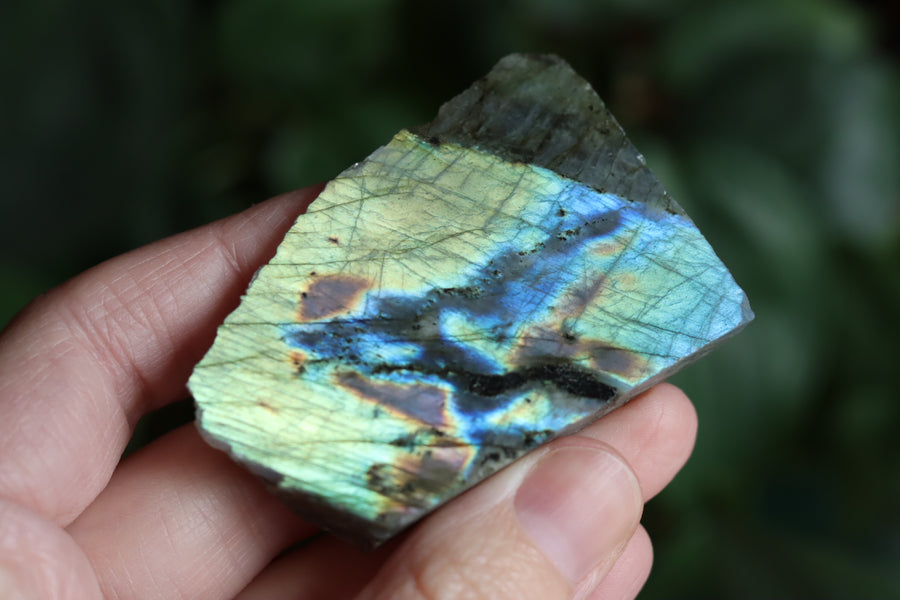 Semi polished labradorite slab 6