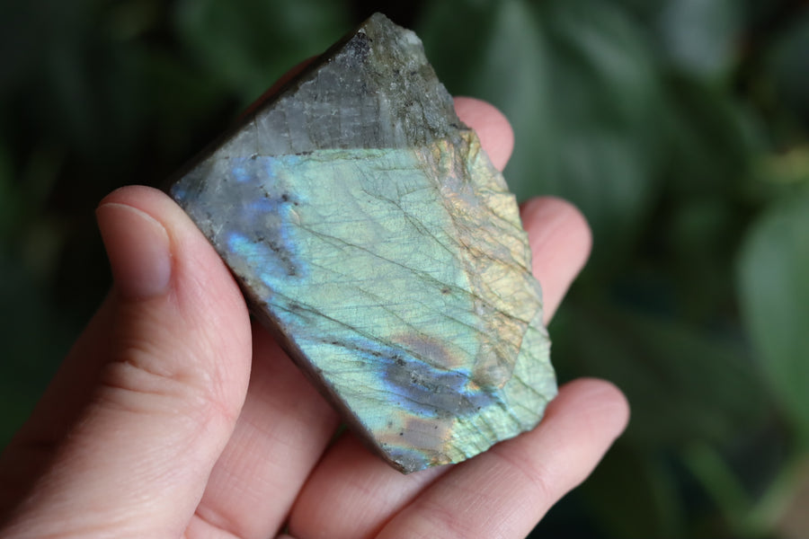 Semi polished labradorite slab 6