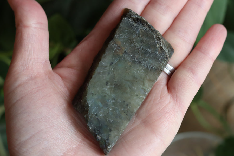 Semi polished labradorite slab 7 new