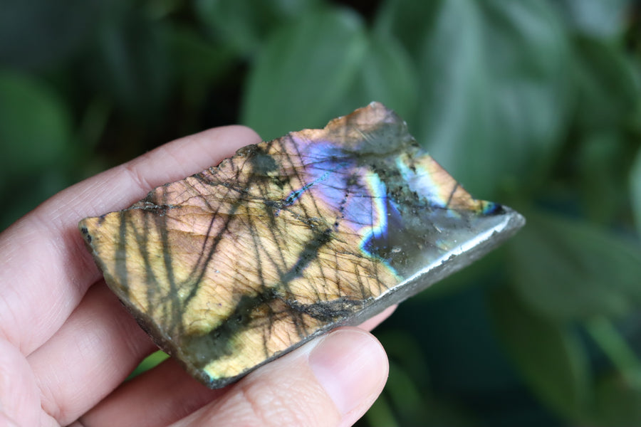 Semi polished labradorite slab 7 new