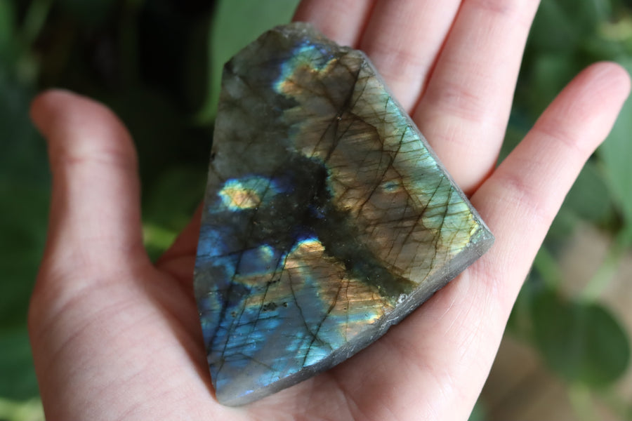 Semi polished labradorite slab 8