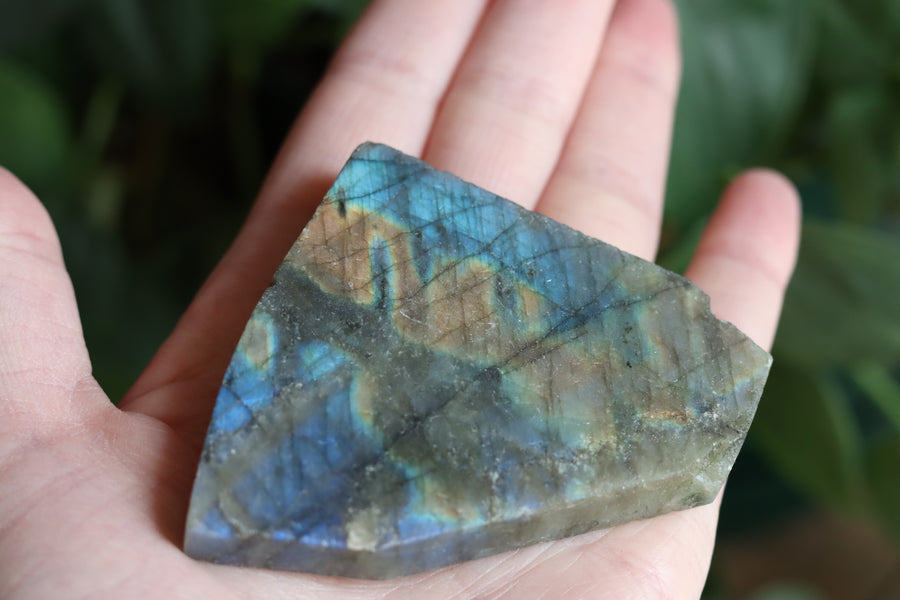 Semi polished labradorite slab 8