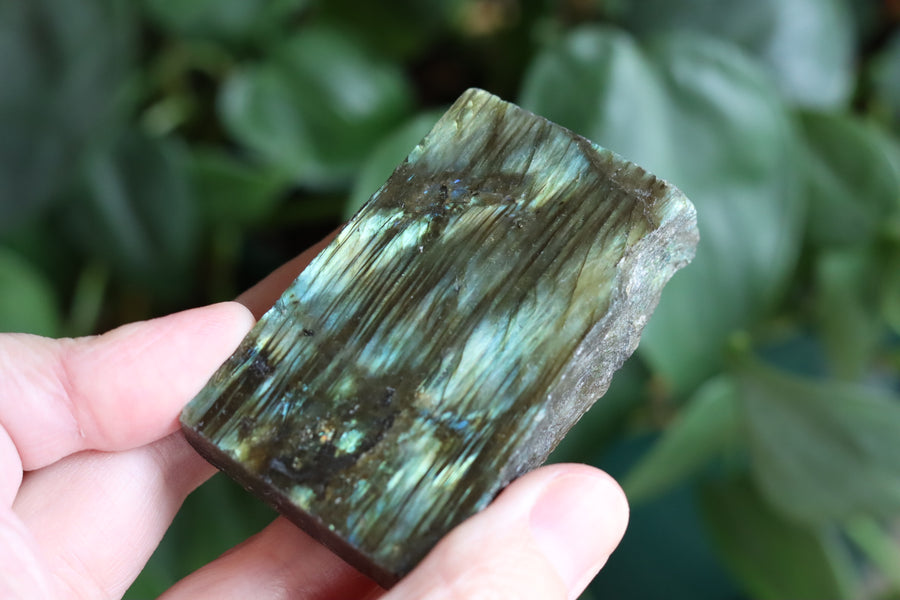 Semi polished labradorite slab 9