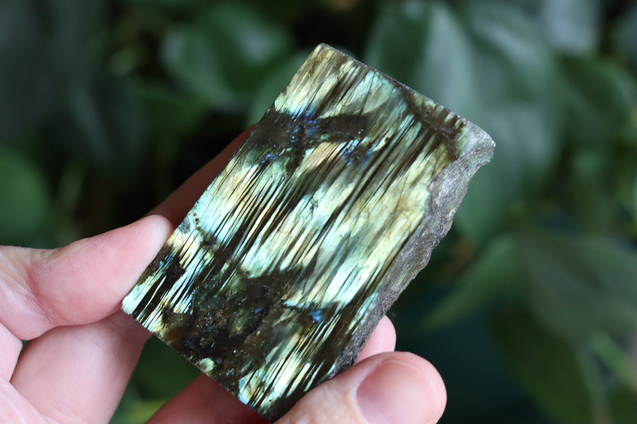 Semi polished labradorite slab 9