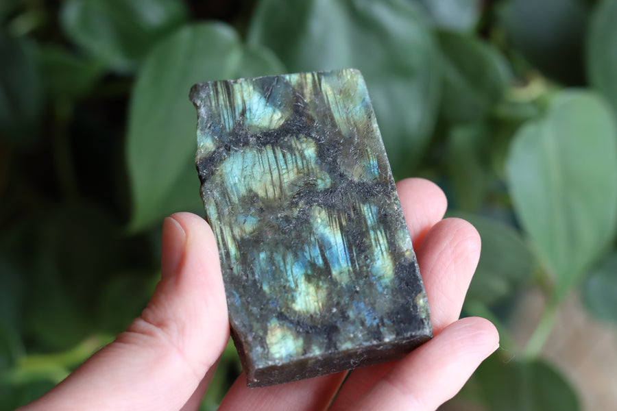 Semi polished labradorite slab 9