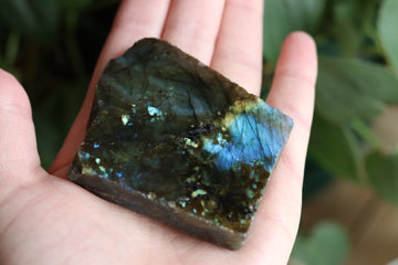 Semi polished labradorite slab 10 new