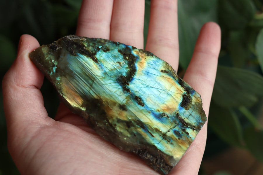 Semi polished labradorite slab 11