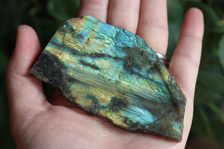 Semi polished labradorite slab 11