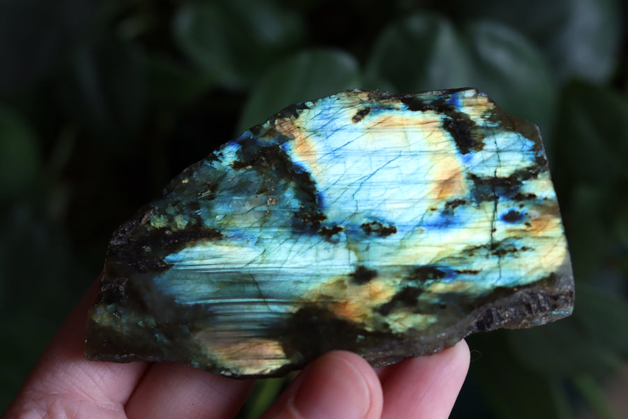 Semi polished labradorite slab 11