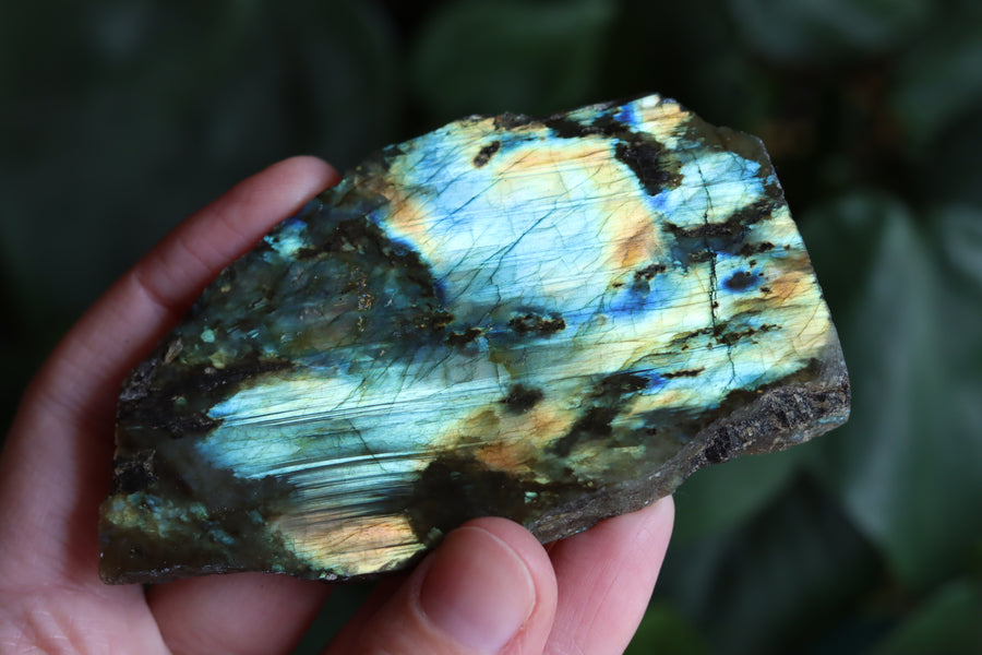 Semi polished labradorite slab 11