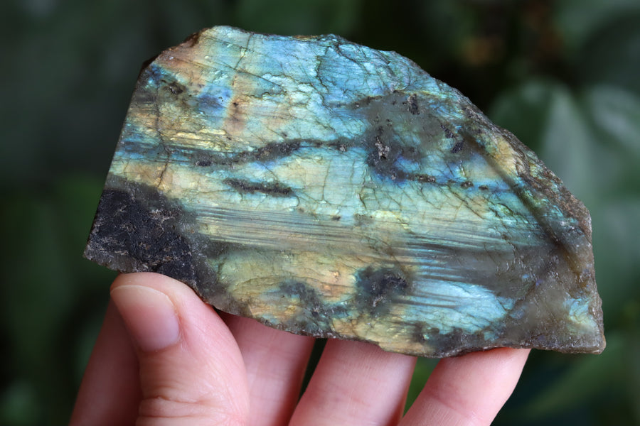 Semi polished labradorite slab 11