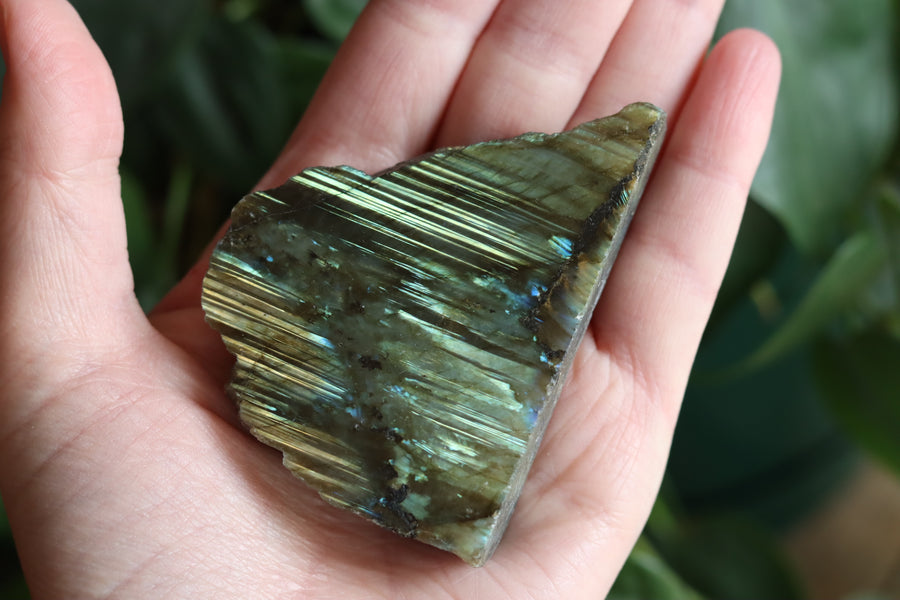 Semi polished labradorite slab 12