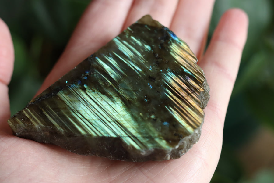 Semi polished labradorite slab 12