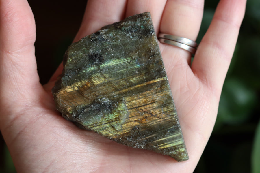 Semi polished labradorite slab 12