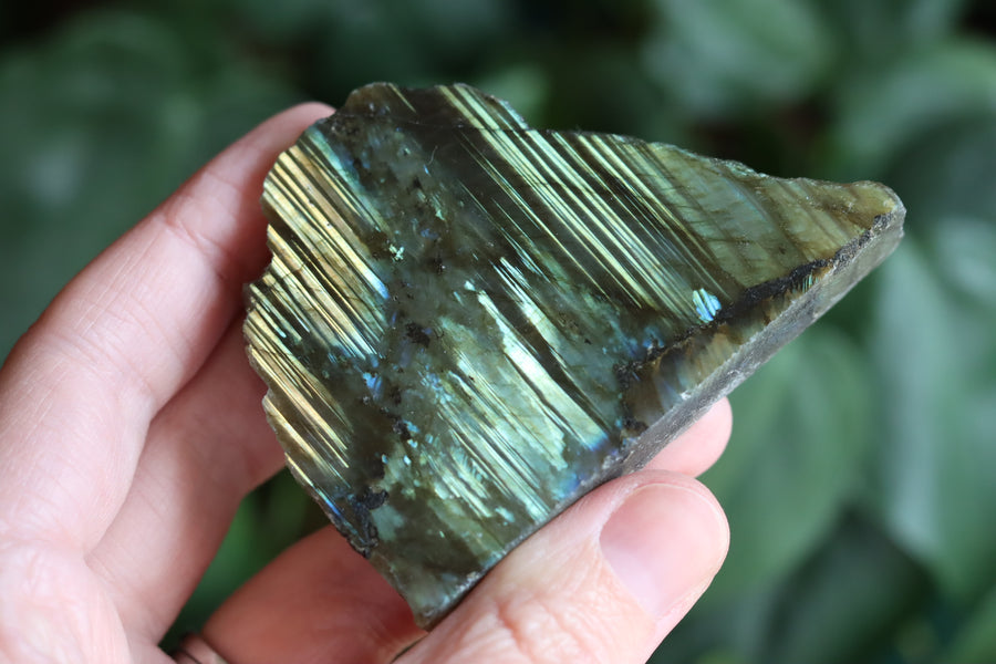 Semi polished labradorite slab 12