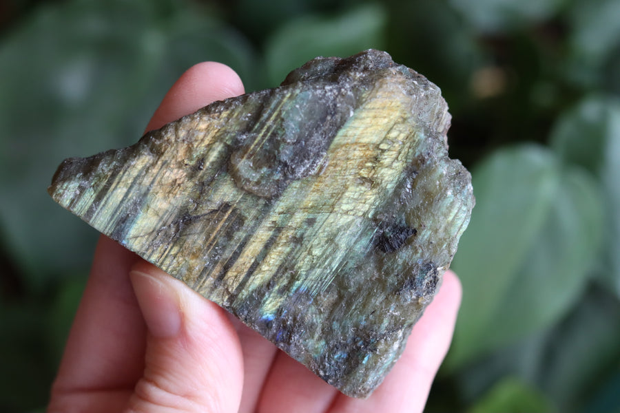 Semi polished labradorite slab 12