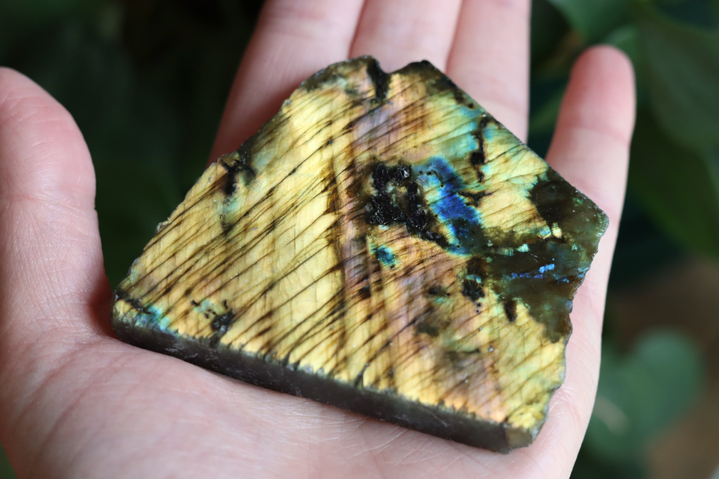 Semi polished labradorite slab 13