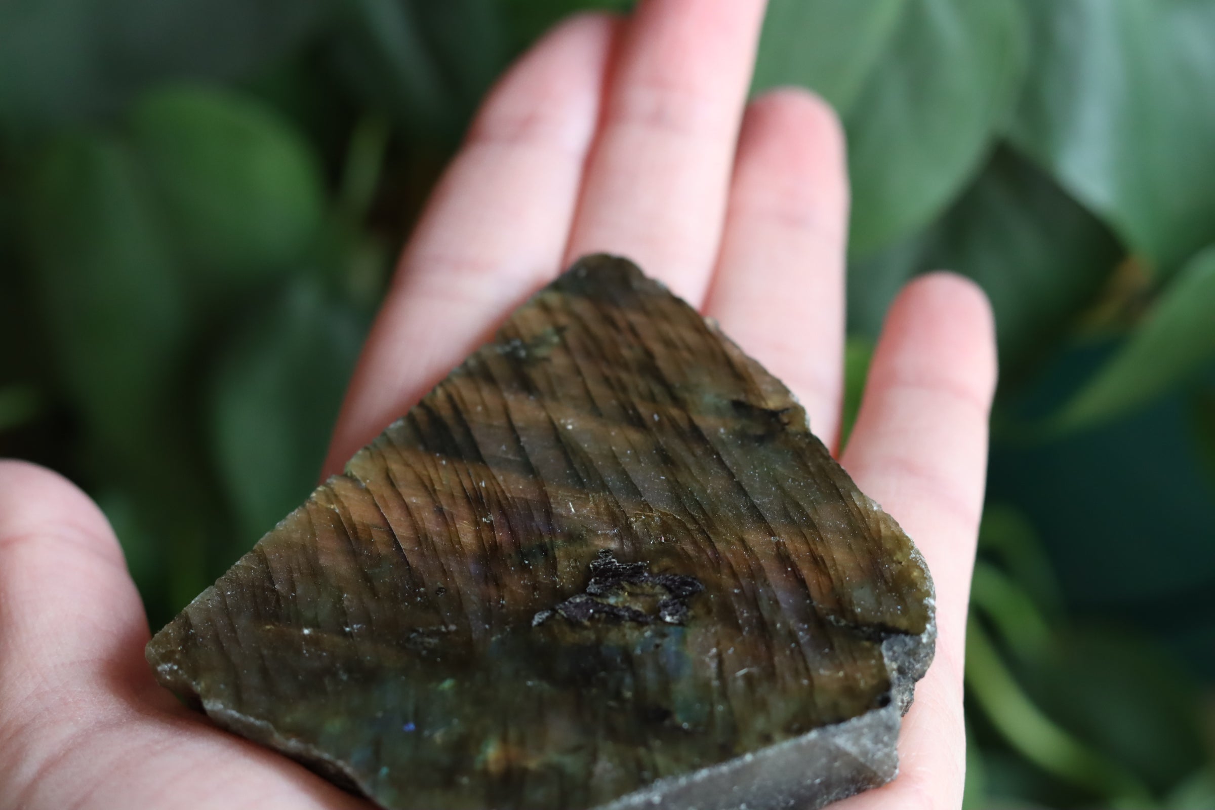 Semi polished labradorite slab 13