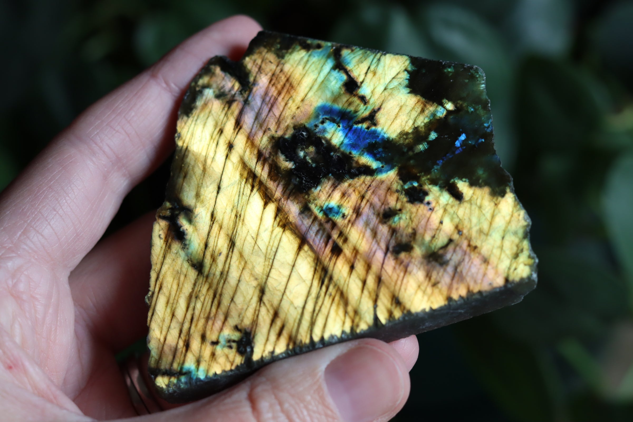 Semi polished labradorite slab 13