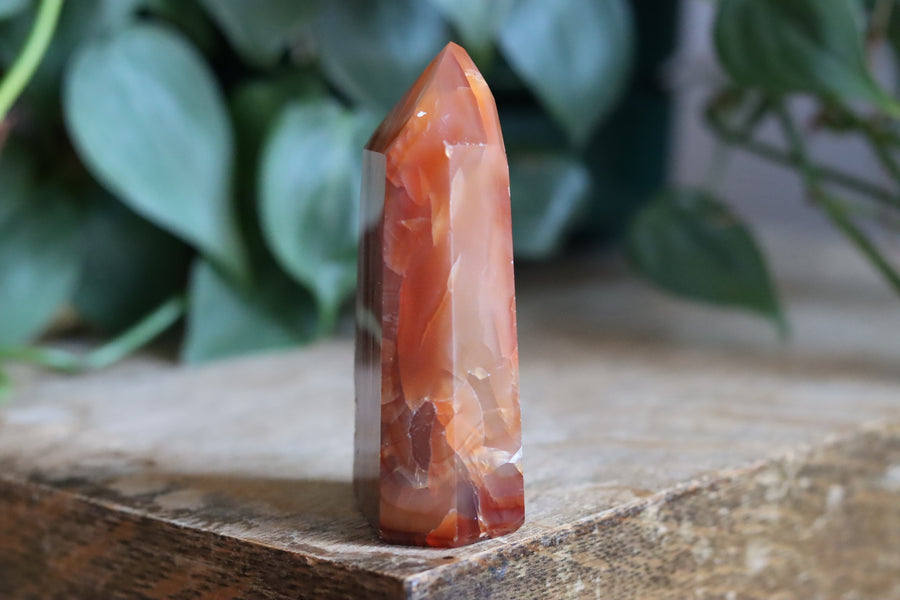 Carnelian tower 2B new