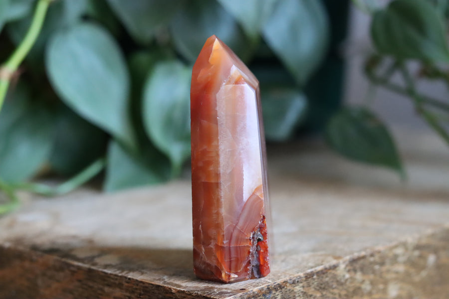 Carnelian tower 2B new