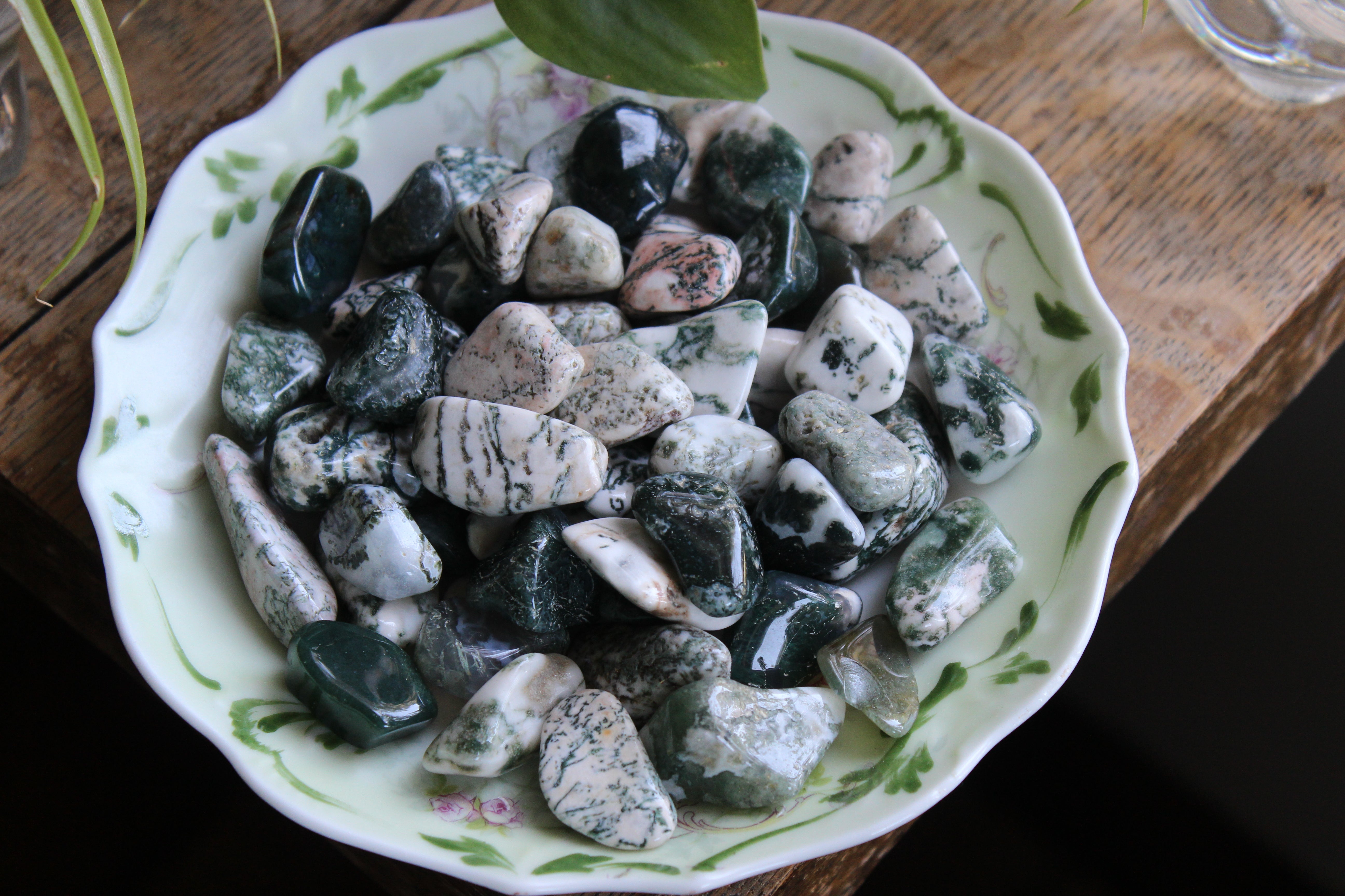 Tree agate tumbled stones (set of 3)