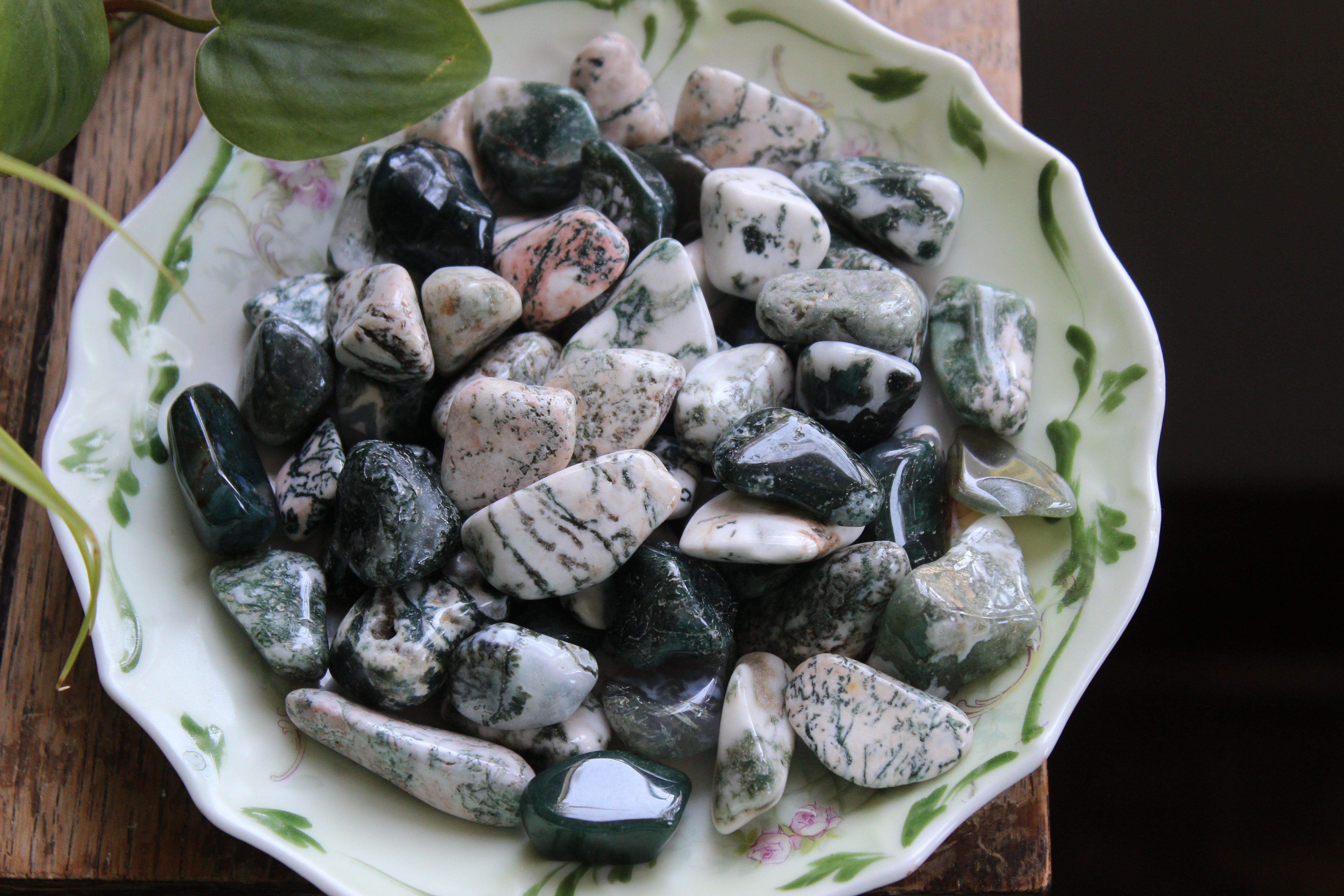 Tree agate tumbled stones (set of 3)