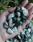 Tree agate tumbled stones (set of 3)