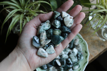 Tree agate tumbled stones (set of 3)