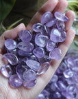 Amethyst tumbled stones (set of 3)