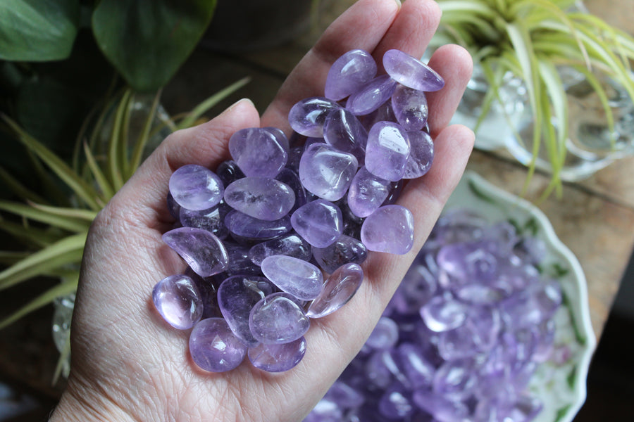 Amethyst tumbled stones (set of 3)