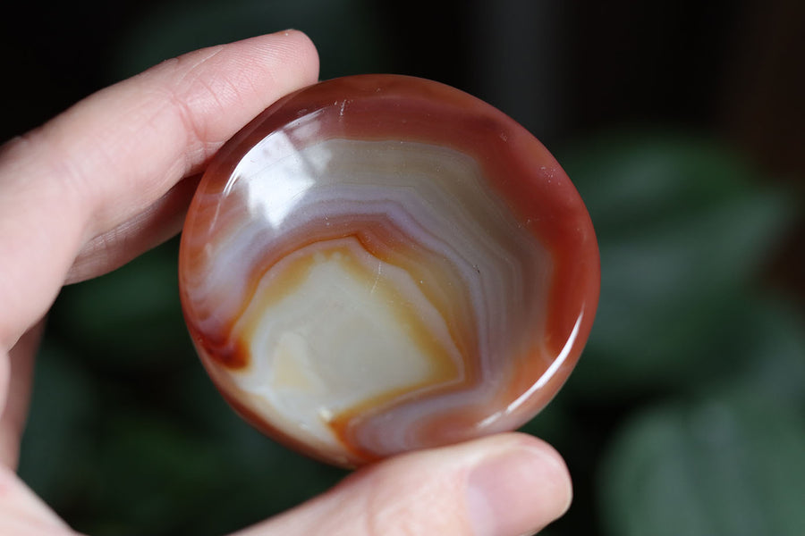 Carnelian dish 4