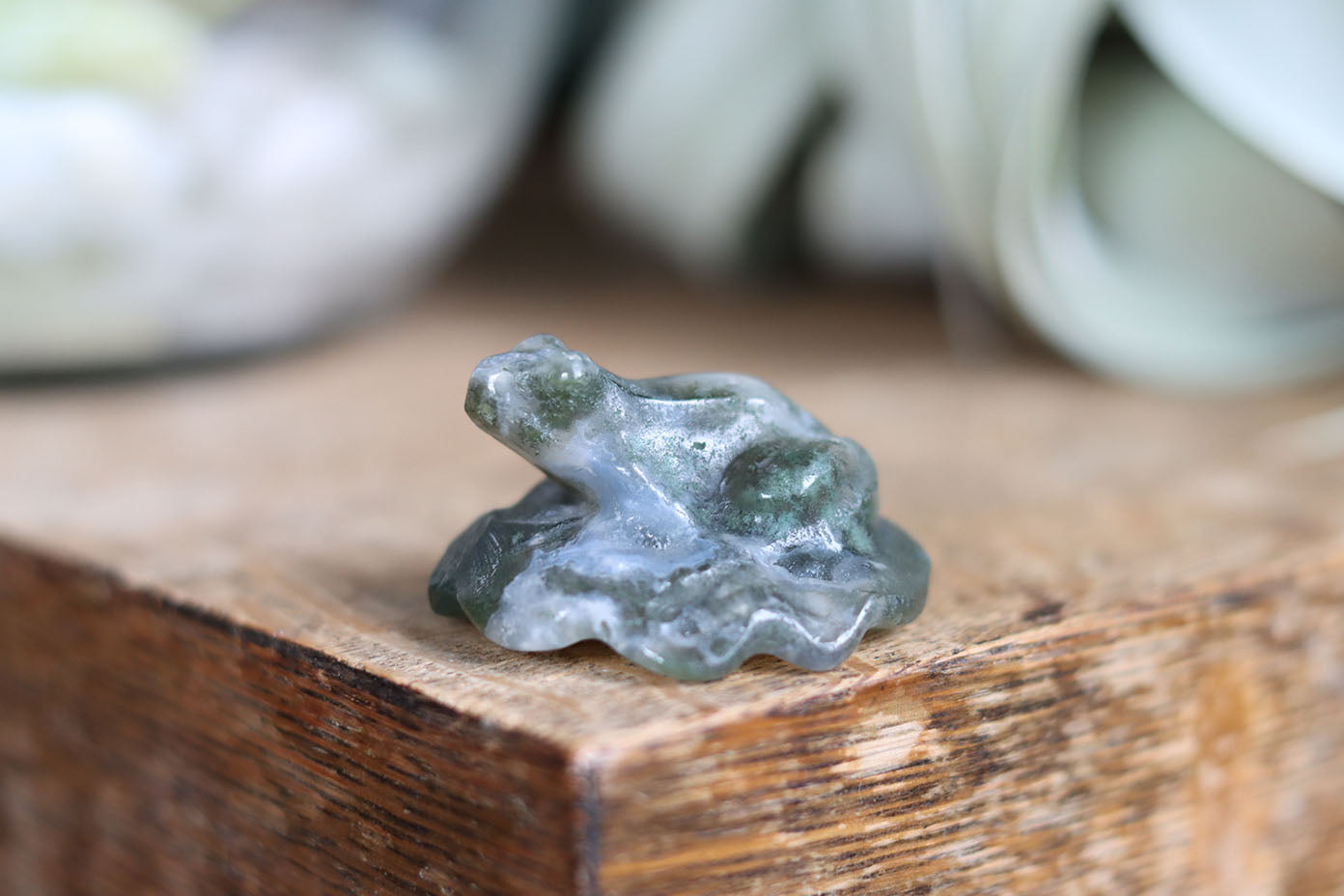 Moss agate frog 6