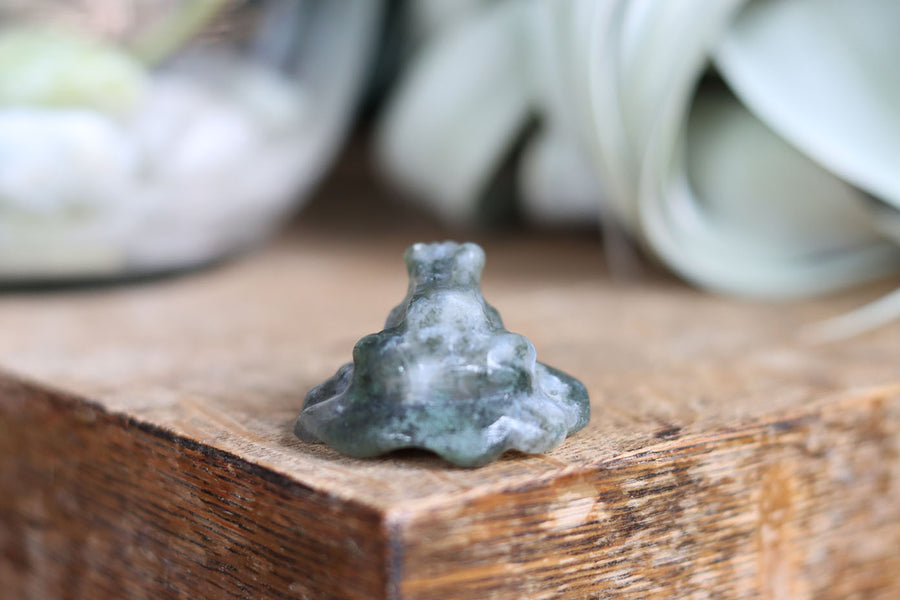 Moss agate frog 6