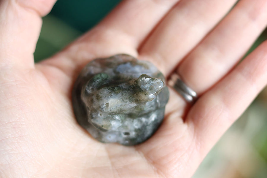 Moss agate frog 6