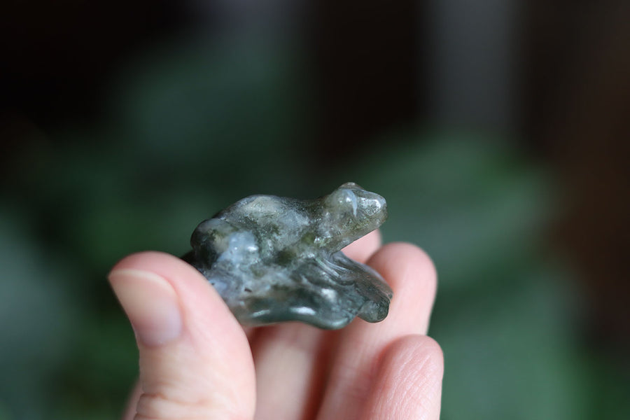 Moss agate frog 6
