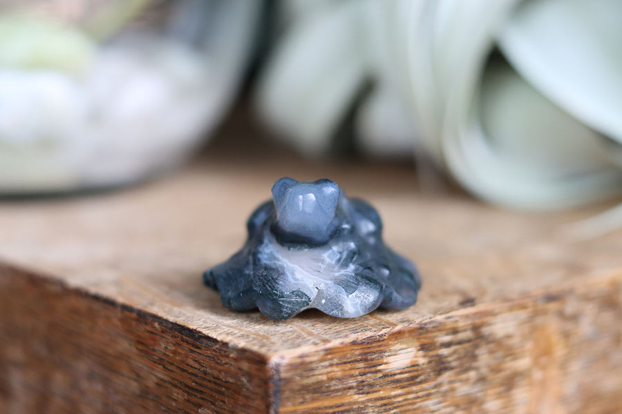 Moss agate frog 7