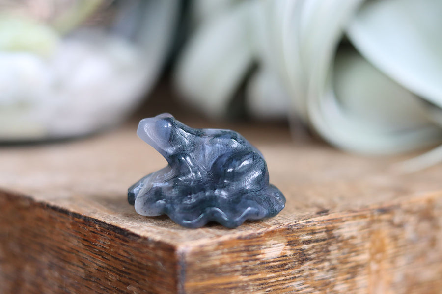Moss agate frog 7