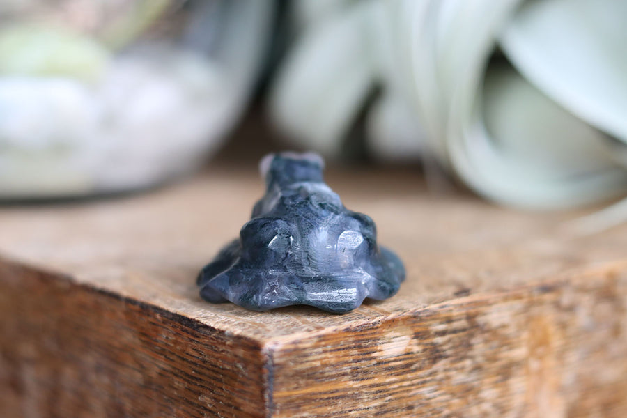 Moss agate frog 7