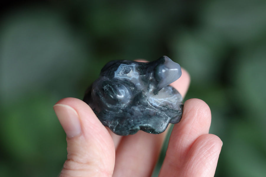 Moss agate frog 7