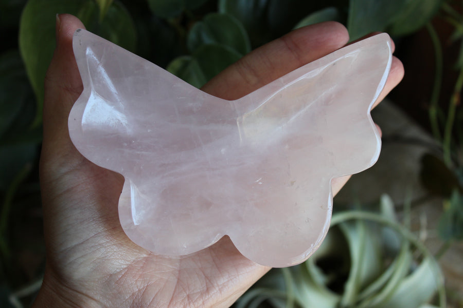 Rose quartz butterfly dish 3