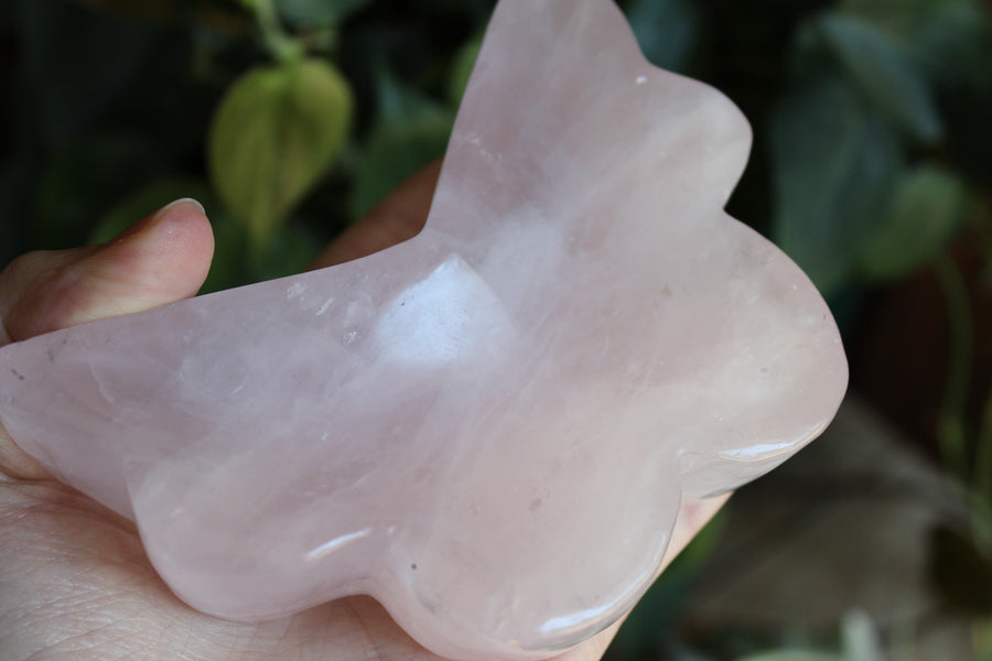 Rose quartz butterfly dish 3